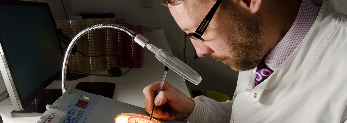 Legionella Testing And Analysis In Lab